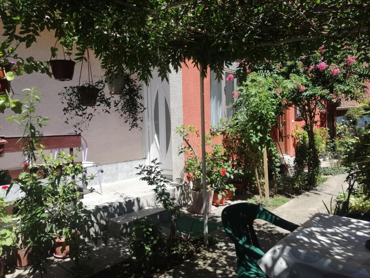 Apartman Nana Jagodina Exterior photo