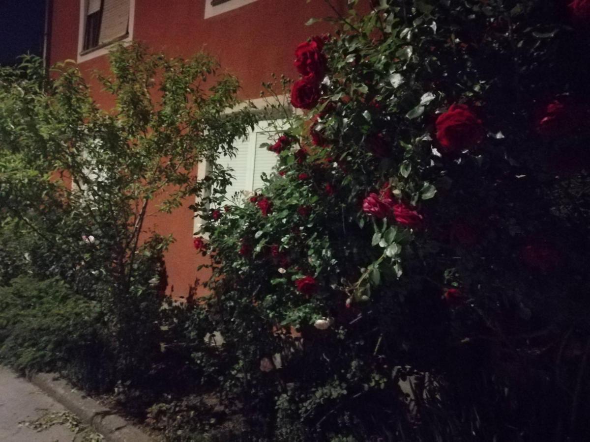 Apartman Nana Jagodina Exterior photo