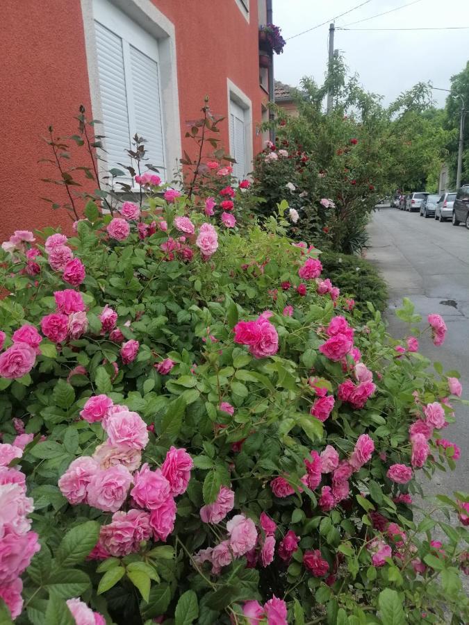 Apartman Nana Jagodina Exterior photo
