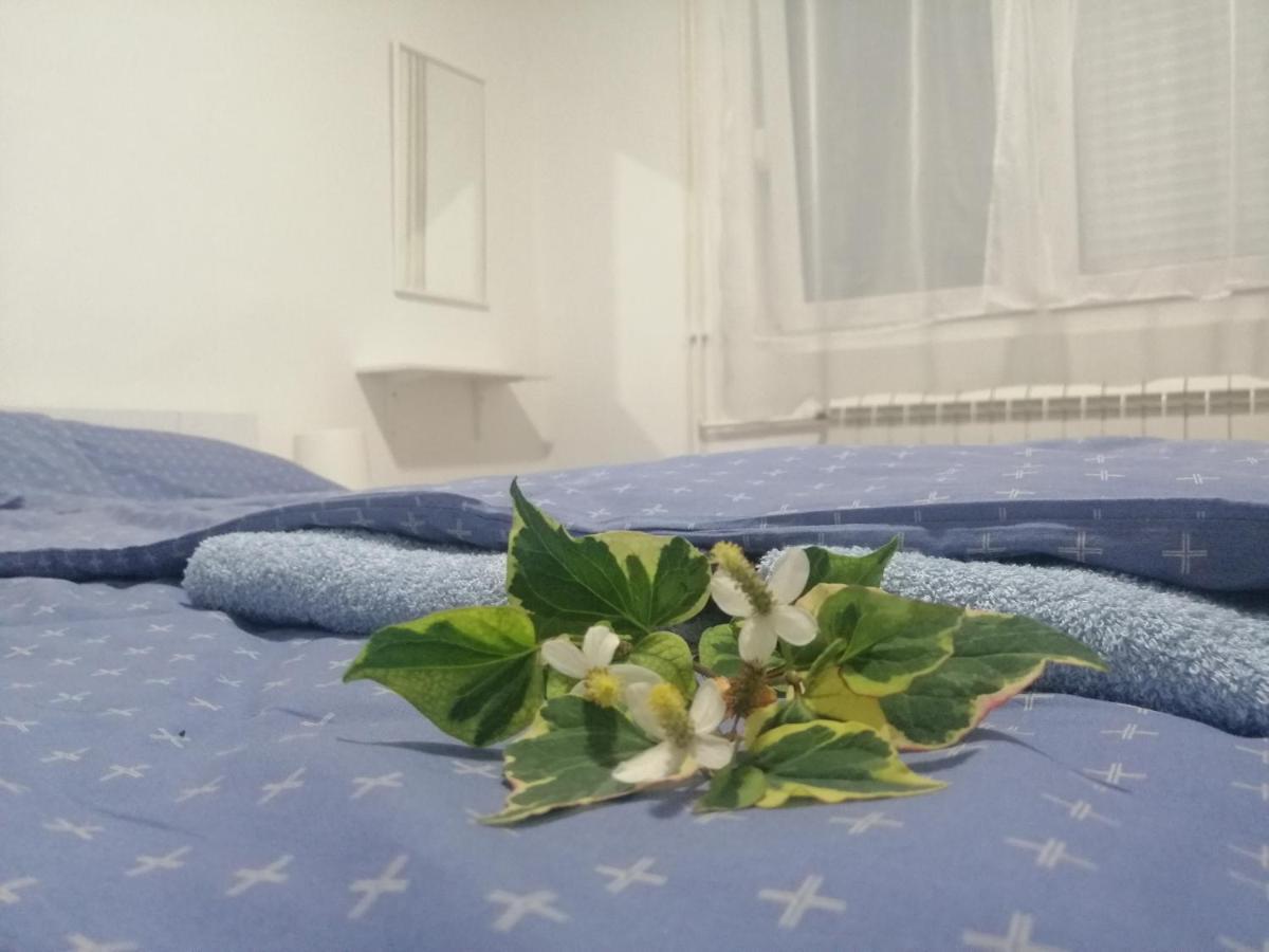 Apartman Nana Jagodina Exterior photo