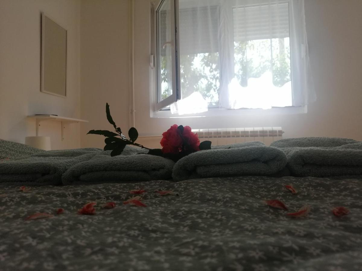 Apartman Nana Jagodina Exterior photo